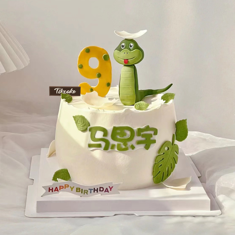 汉冢乡双胞胎成人礼一般送什么样的蛋糕？